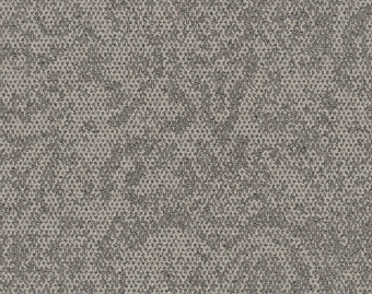 [300111150_14] Open Air 405 - 107714 Oat